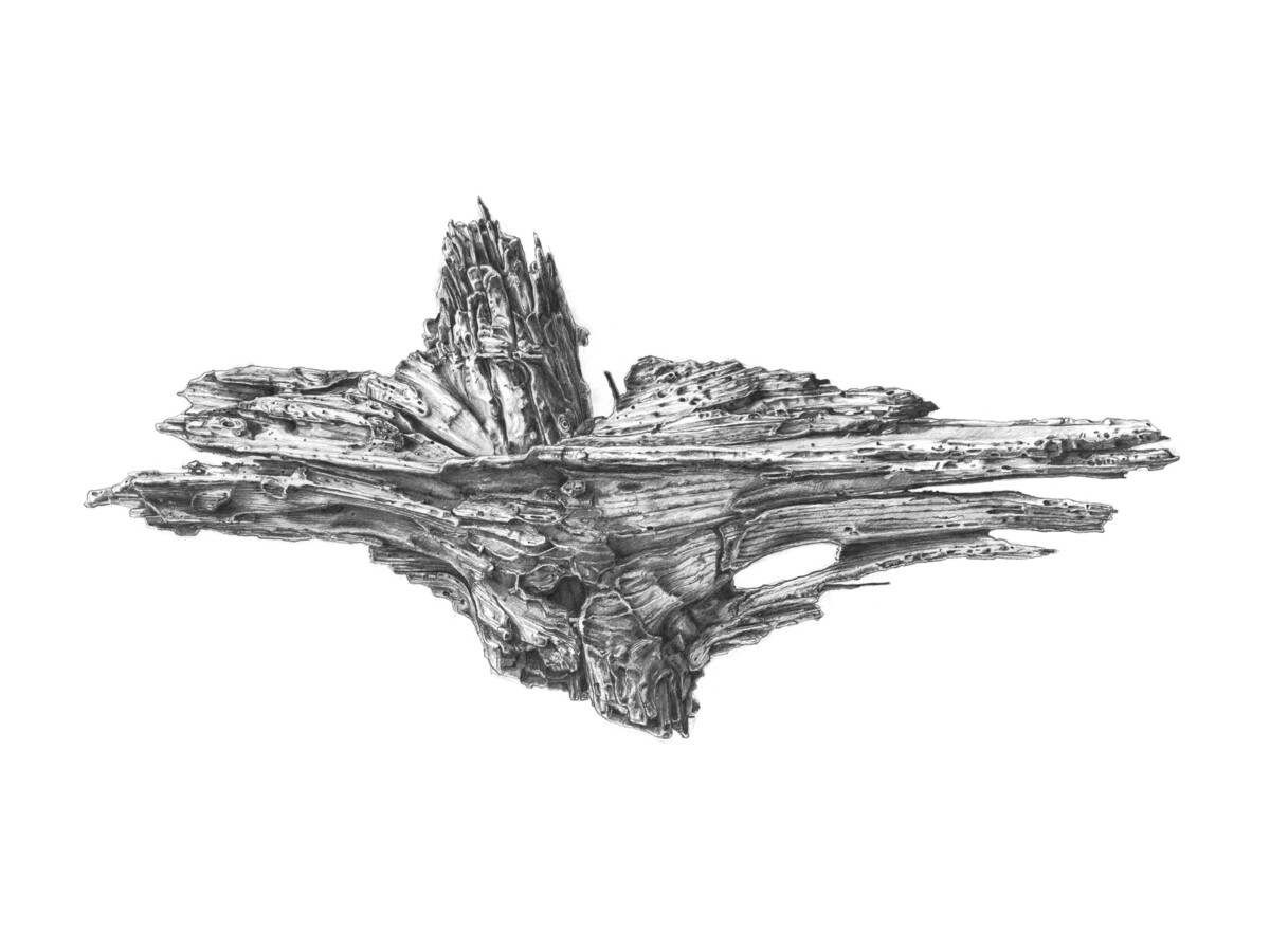 Image Alt text Here