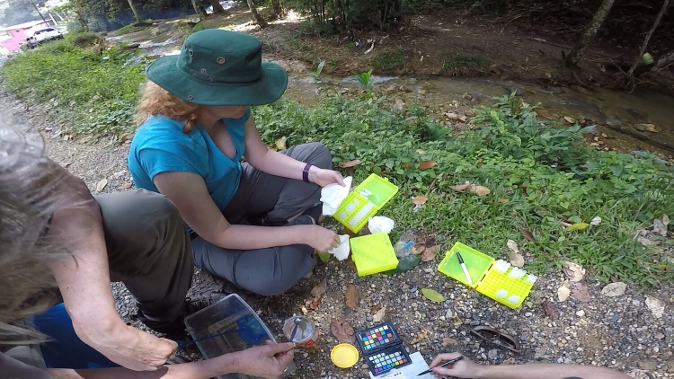A woman in a green broad brimmed hat sits on the ground next to a stream. She hold a bright yellow case with many samples already inside.