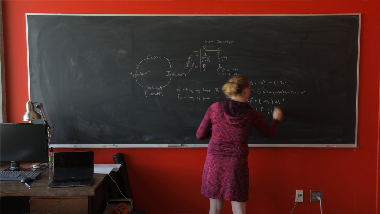 Ailene MacPherson stands in front of a chalkboard writing equations on it.