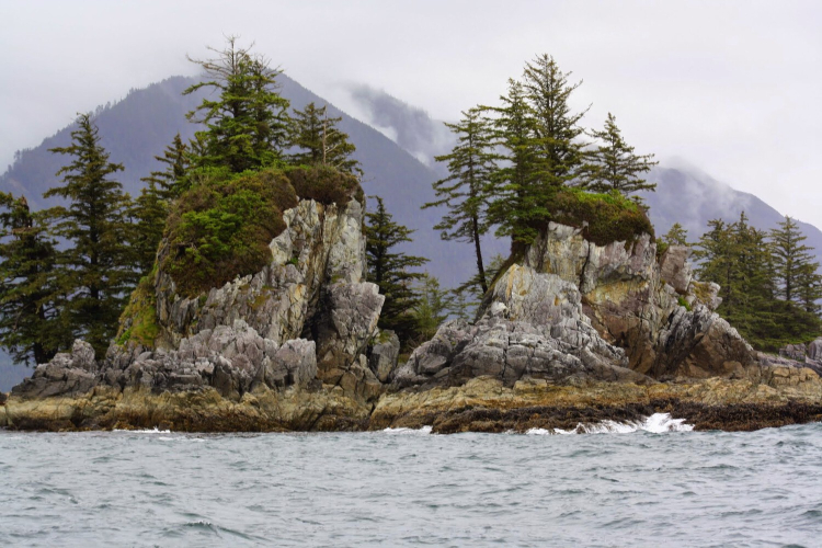 A small rocky island is covered in small coniferous trees and moss. Mountains rise into the clouds in the background.