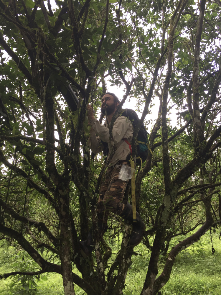 Pierre is wearing a large backpack and a beige shirt, camouflage pants, and rubber boots as he clings to the branches of a many-limbed tree.