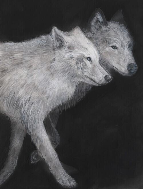 A portrait of a wolf pair walking in unison, their skulls showing through the details of fur and face.