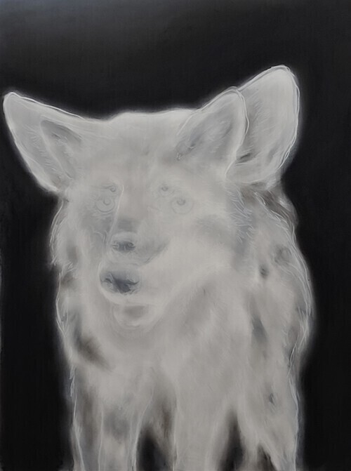 A double drawing of a coyote, both almost entirely white, subtle layers.  Its outline defined by black night environment.