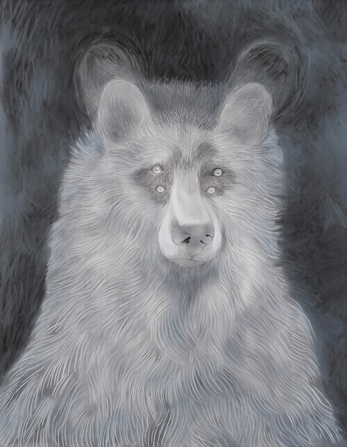 A double portrait of a white bear, soft details and blurring of hair and background emphasize its sensory nature.