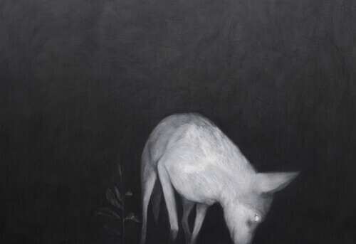 A coyote’s slight movement captured in the flashing traces of her eye. She sniffs the ground, enveloped by night.