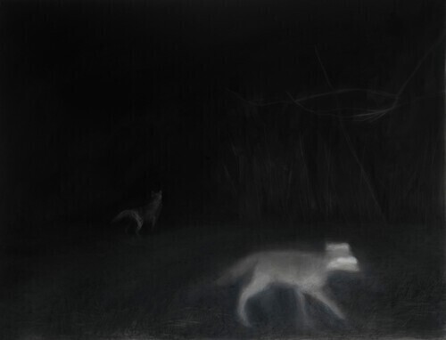 A nighttime forest, in the foreground a blurred coyote is running, in the background a coyote is staring into the darkness.